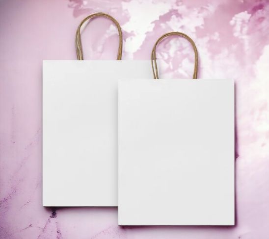 Пакет бумажный ROBLE / Крафтовый пакет 32х40х12 см, с короткими усиленными ручками витой формы